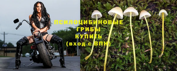 марки lsd Абинск