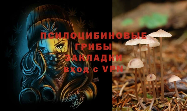 герыч Абдулино