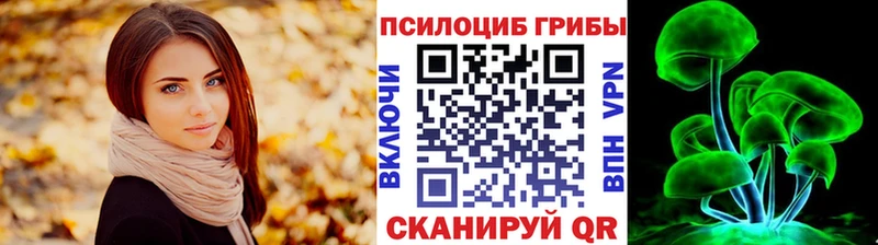 OMG вход  Чегем  Псилоцибиновые грибы мицелий 